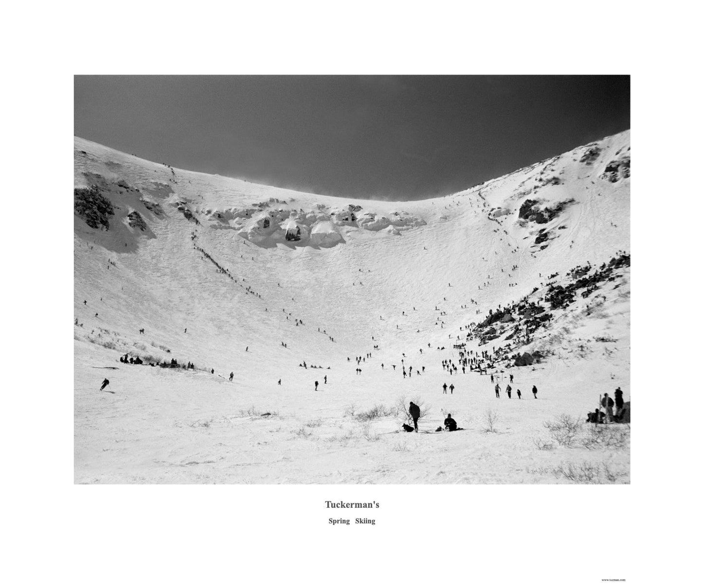 Auction Tuckerman Ravine B&W 20x24 poster